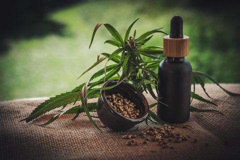 AgraFlora Organics und EuroLife Brands setzen ärztlich zugelassene medizinische Cannabis-Aufklärungsplattform in deutscher medizinischer Cannabispopulation ein