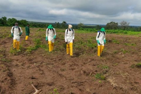 Nigeria Transformation der Landwirtschaft